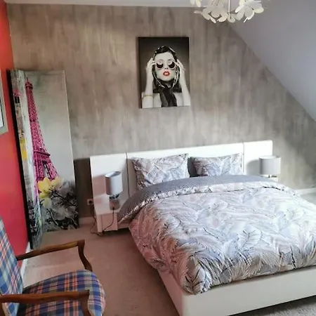 Villa Maison Avec Jacuzzi Et Jardin Landivisiau